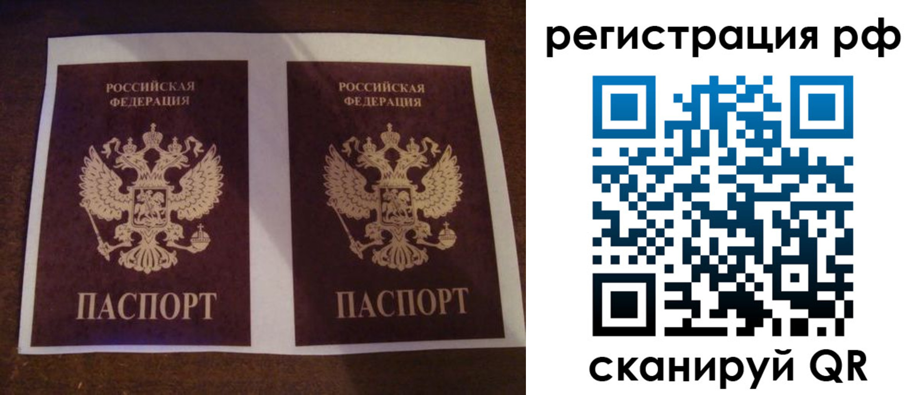 временная регистрация гарантия в Светлогорске