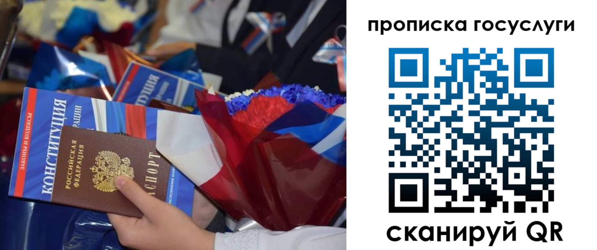 пропишу в квартире в Светлогорске